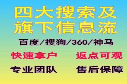 行业领先的SEM投放效果案例解析