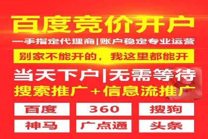 金融行业SEM运营托管的策略与效果